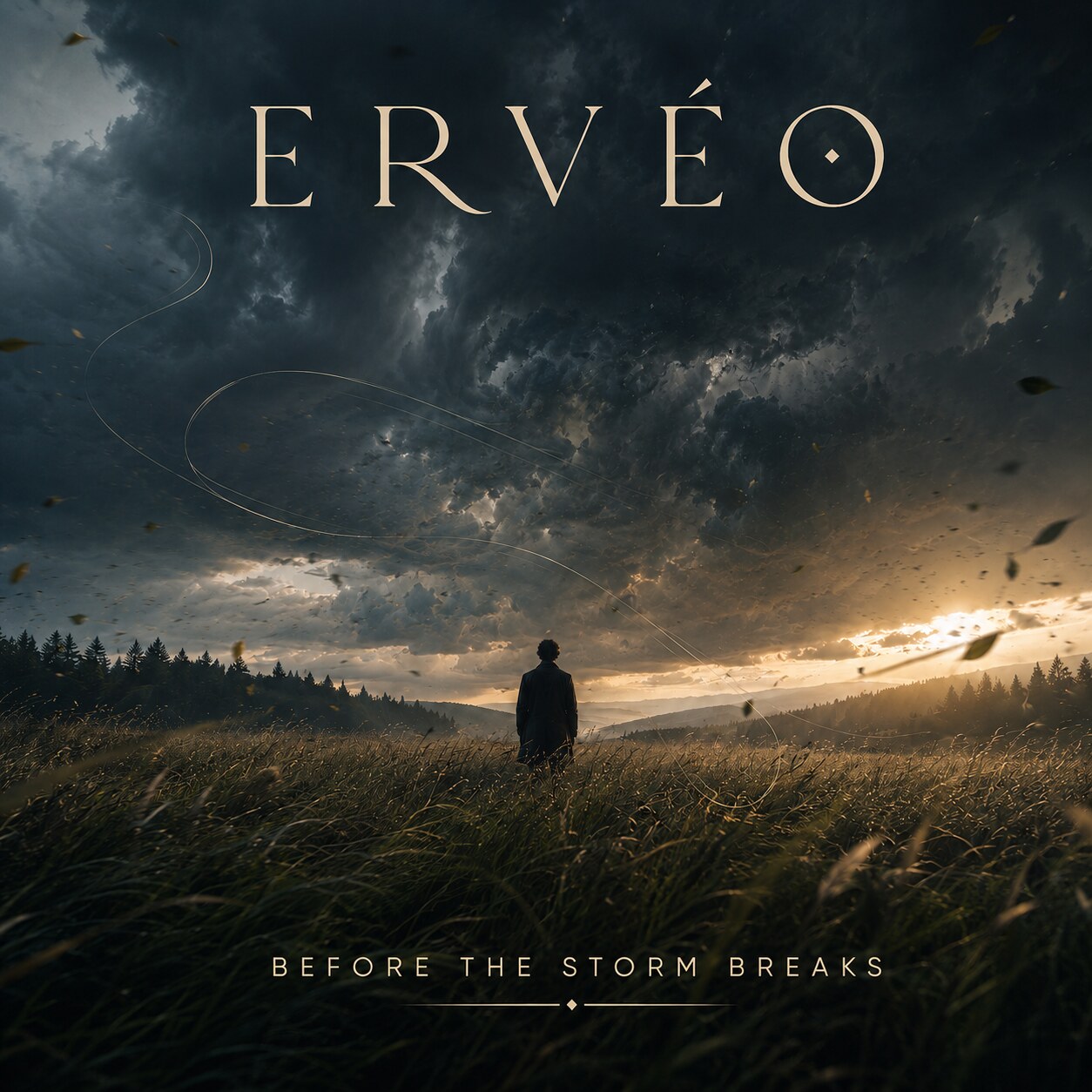 Pochette du single Before the Storm Breaks